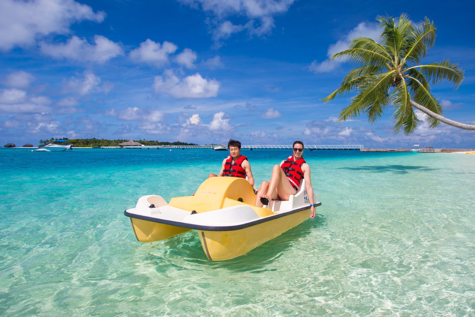 PADDLE BOATS Ocean Group