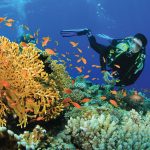 Ocean Conservation at Taj Exotica Resort & Spa, Maldives